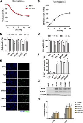 Restoration of Sarco/Endoplasmic Reticulum Ca2+-ATPase Activity Functions as a Pivotal Therapeutic Target of Anti-Glutamate-Induced Excitotoxicity to Attenuate Endoplasmic Reticulum Ca2+ Depletion